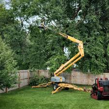 Best Arborist Consultation Services  in Camanche, IA